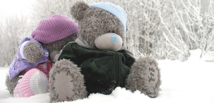 Teddybär Spielzeug