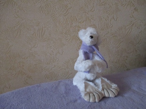 Teddybär Spielzeug