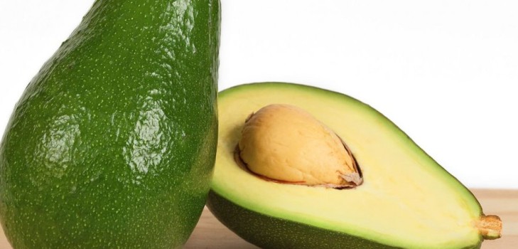 Wie Avocado aus einem Stein wachsen