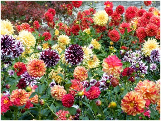 viele Farben