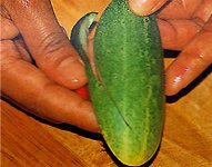 Schnitzen von Gemüse und Früchten?