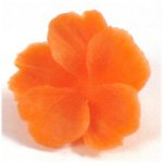 Schnitzen von Gemüse und Früchten?