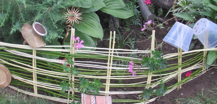 Blumenbeet vom Rebstock mit eigenen Händen