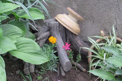 Blumenbeet vom Rebstock mit eigenen Händen