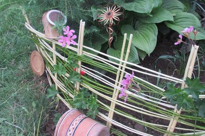 Blumenbeet vom Rebstock mit eigenen Händen
