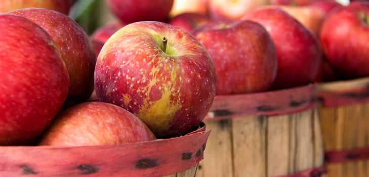 Wann und wie man Äpfel erntet