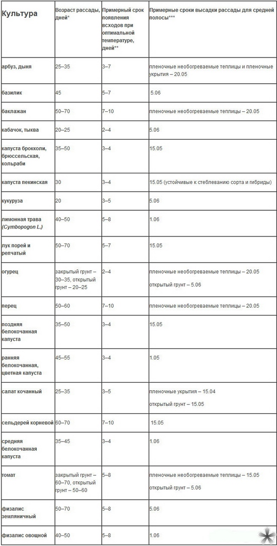 Wann soll man Setzlinge auf dem offenen Boden pflanzen?