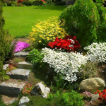 Kontraste im Garten Kontraste im Garten