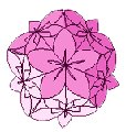 Kusudama-Papier Kusudama-Papier