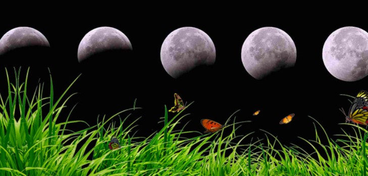 Lunar Kalender Lkw-Bauer für August 2016 für die Region Moskau, die mittlere Zone von Russland, dem Ural, Sibirien, dem Nordwesten, Weißrussland und der Ukraine