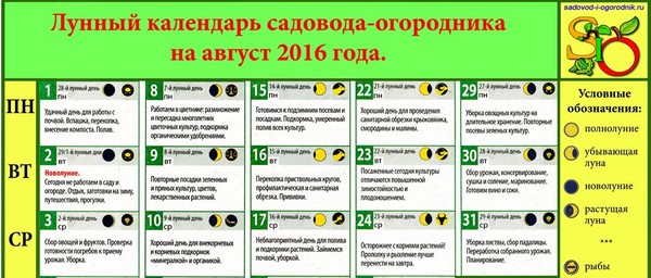Lunar Kalender Lkw-Bauer für August 2016 für die Region Moskau, die mittlere Zone von Russland, dem Ural, Sibirien, dem Nordwesten, Weißrussland und der Ukraine Lunar Kalender Lkw-Bauer für August 2016 für die Region Moskau, die mittlere Zone von Russland, dem Ural, Sibirien, dem Nordwesten, Weißrussland und der Ukraine