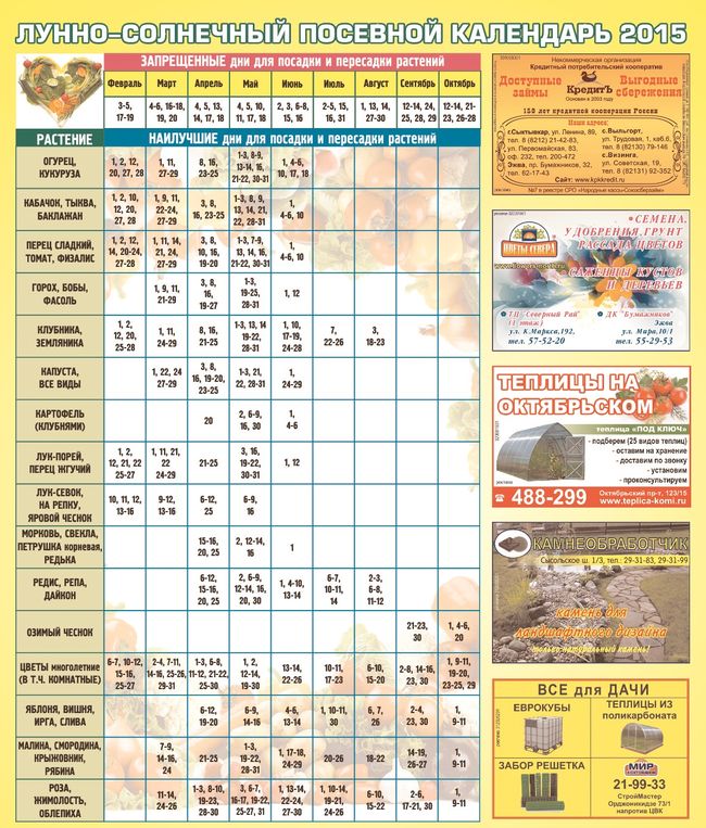 Gärtner-Gärtner-Kalender für Juli 2015 für den Nordwesten
