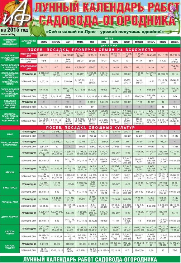 Gärtner-Kalender für Juli 2015