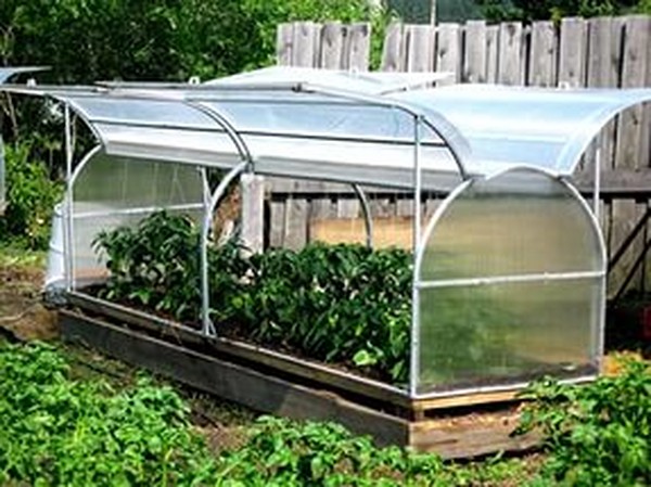 Hot Springs for Seedling: Schritt-für-Schritt-Anleitung, Fotos, Videos