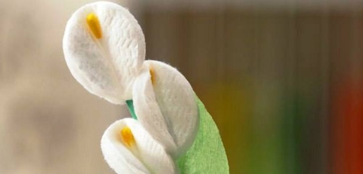 Ein Geschenk zur Mamma blüht von einer Baumwolldiskettenmeisterklasse mit einem Foto Blumen aus Watte mit eigenen Händen