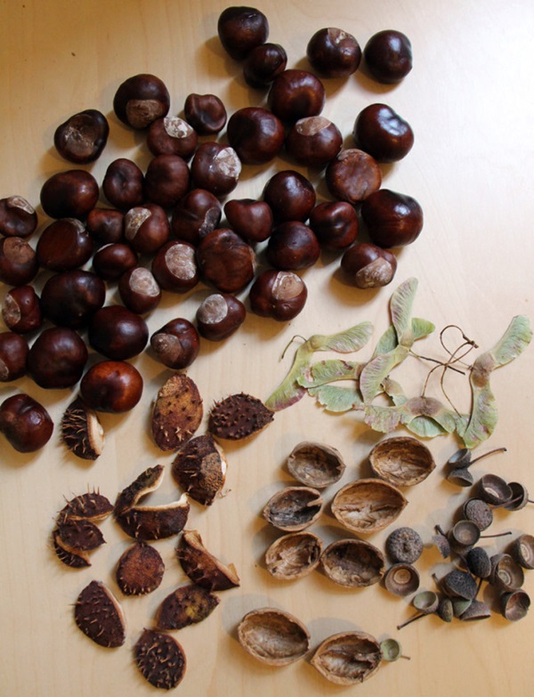 Handwerk aus Kastanien zum Thema Herbst