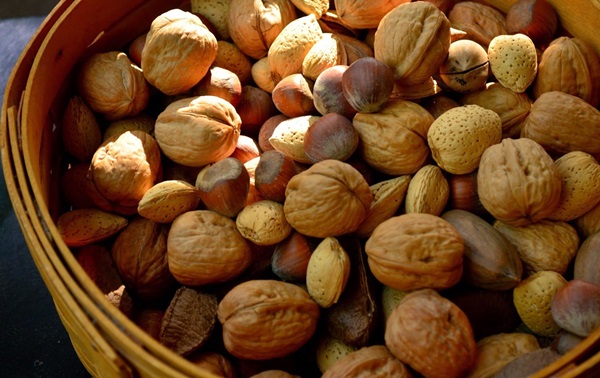 Handwerk aus Kastanien zum Thema Herbst