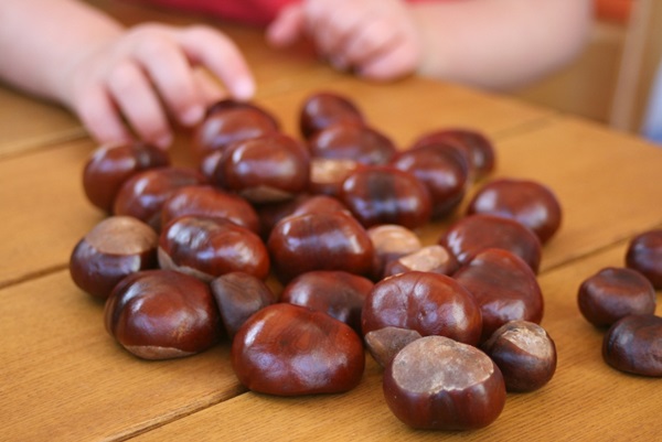 Handwerk aus Kastanien zum Thema Herbst