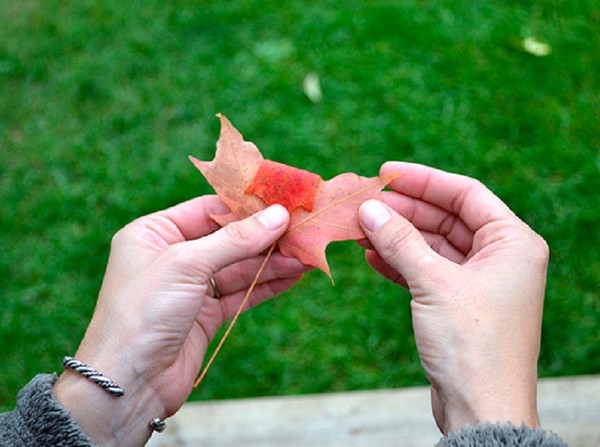 Handarbeiten aus Blättern zum Thema "Herbst" mit eigenen Händen für Schulkinder