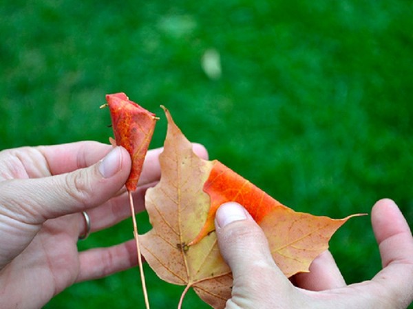 Handarbeiten aus Blättern zum Thema "Herbst" mit eigenen Händen für Schulkinder