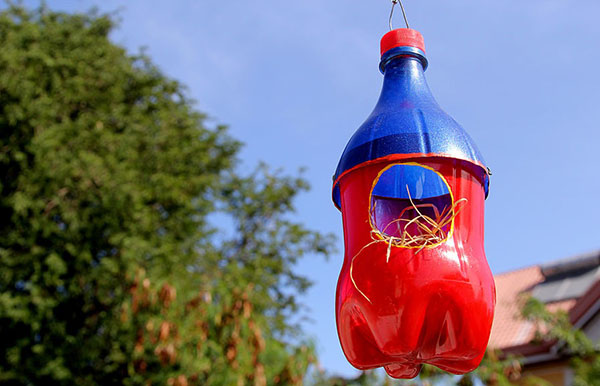 Neues Handwerk aus Plastikflaschen mit eigenen Händen für Garten und Obstgarten