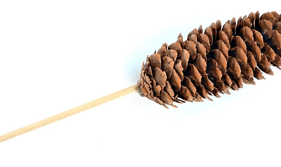 Handwerk aus Naturmaterial: Mini-Holz mit eigenen Händen