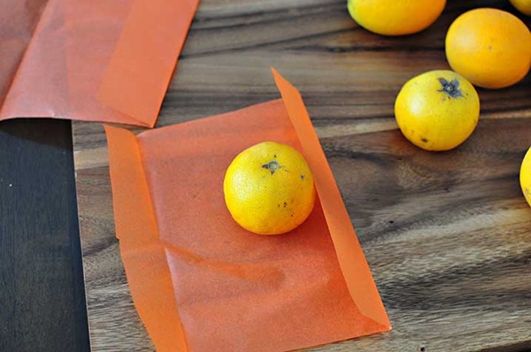 Basteln für Kinder an Halloween