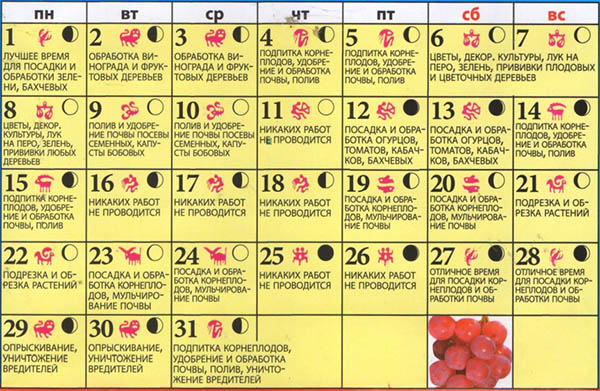 Mondkalender für Mai 2017