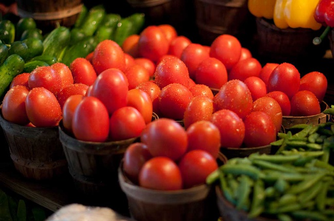 Richtige Bewässerung von Tomaten Richtige Bewässerung von Tomaten