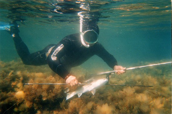 Große und kleine Fische: die besten Plätze zum Fischen auf der Krim