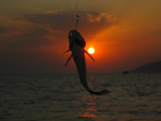 Große und kleine Fische: die besten Plätze zum Fischen auf der Krim