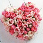 Herz aus Rosen am 14. Februar