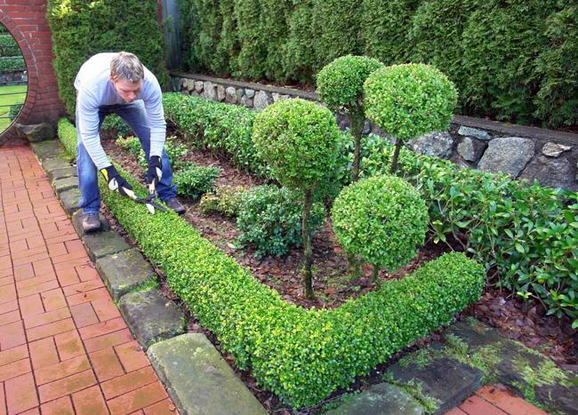 Topiary Kunst