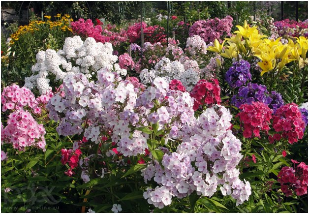 viele Farben