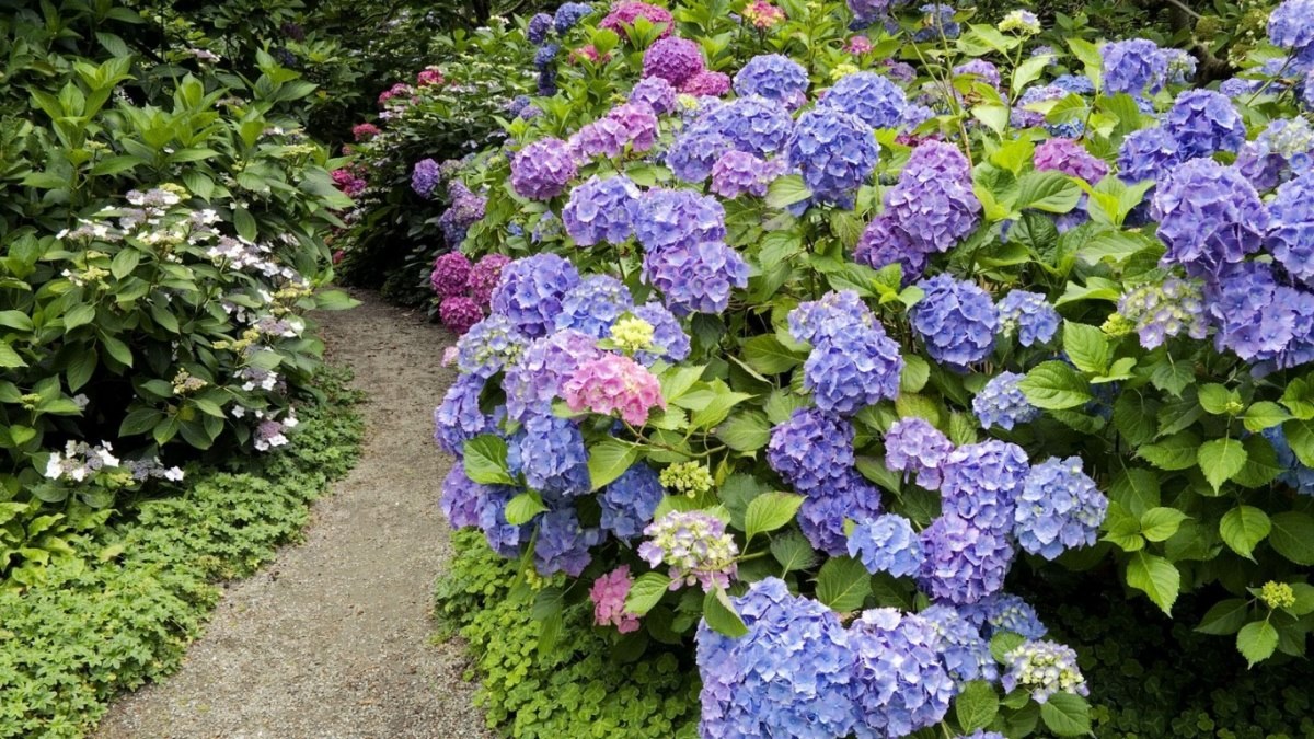 viele Farben