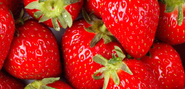 Wachsen Sie Erdbeeren und Erdbeeren auf der Fensterbank