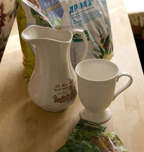 Anbau von Rucola zu Hause Bedingungen Anbau von Rucola zu Hause Bedingungen