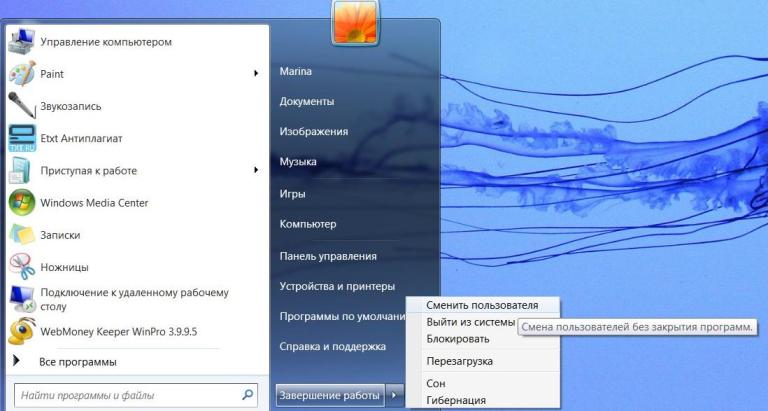 Programmfenster