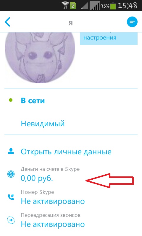 Wie benutzt man Skype auf dem Handy?
