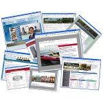 Wie viele Websites sind online?