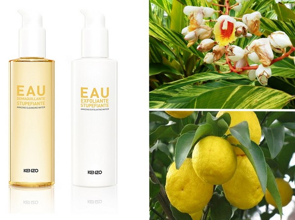 Asiatisches Duo: Kenzoki Ginger Flower Serie für volle Hautreinigung