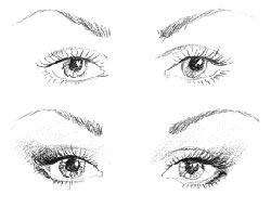 Nahe stehende Augen Nahe stehende Augen