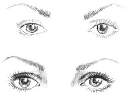 Weitwinkelige Augen Weitwinkelige Augen