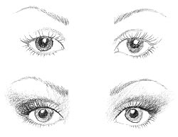 Runde Augen Runde Augen