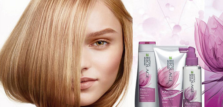 Know-how für lebloses Haar: Neue Artikel Matrix Full Density
