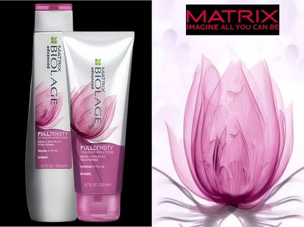 Know-how für lebloses Haar: Neue Artikel Matrix Full Density