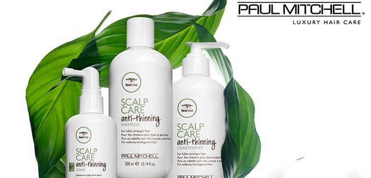 Haarstärke von den Wurzeln bis zu Spitzen: Paul Mitchell Teebaum-Kopfhautpflege-Serie
