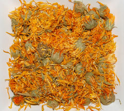 Ringelblumen-Infusion