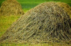 Behandlung von Folkarthrose des Kniegelenks
