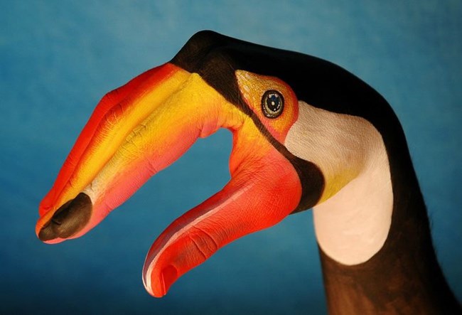 Die Hand ist unter einem Vogel gemalt